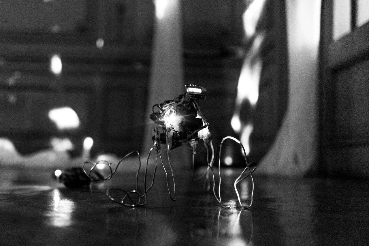 blog image